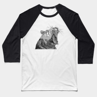 Mountain Tiger Baseball T-Shirt